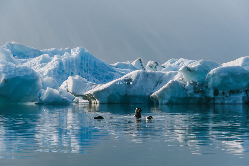 Аляска. Путівник у край ведмедів і безмежної криги від фотографа Lina Chu
